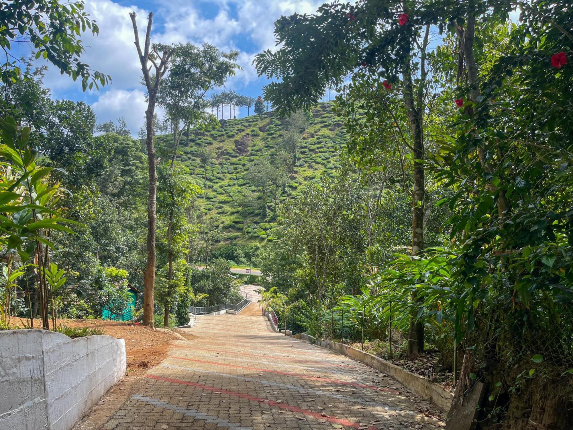טקאדי Snow Hills Resorts מראה חיצוני תמונה